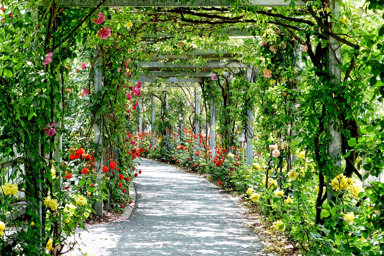 flowers, arches, passage-3112055.jpg