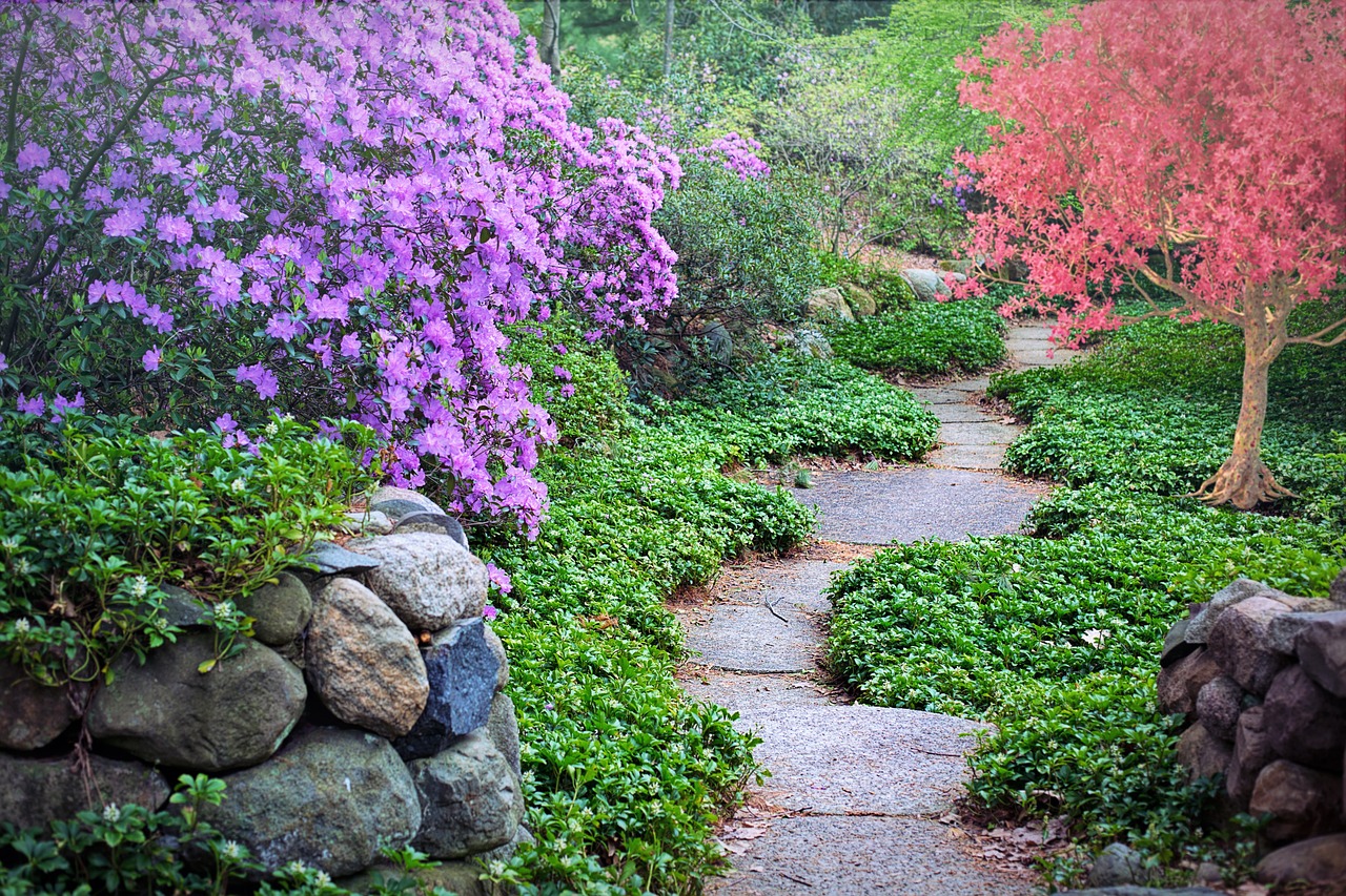 spring, flowering trees, path-3404740.jpg